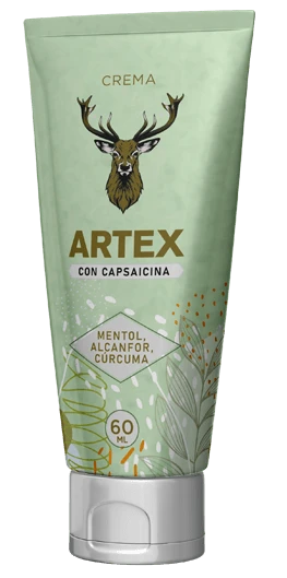 Presentación de Artex