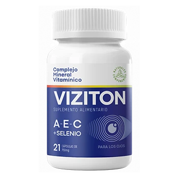 Presentación de Viziton